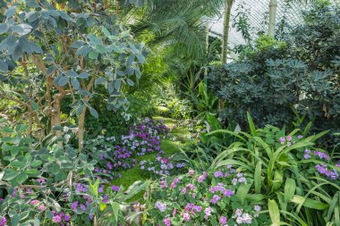 Mimari, parktaki eski binalar.