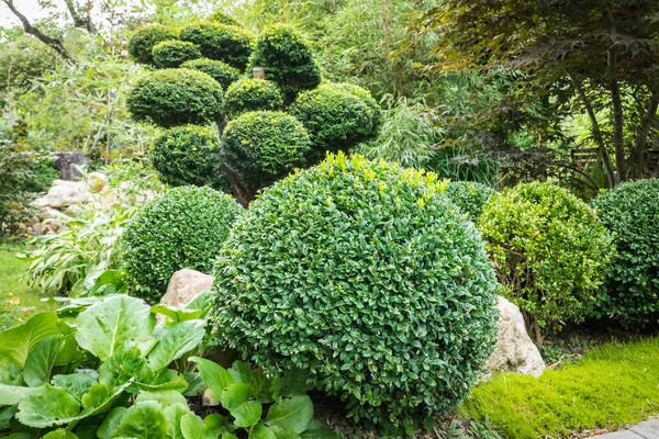 Cortar Arbustos Las Nubes Jardín Japonés —  Fotos de Stock