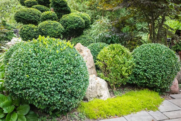 Cortar Arbustos Las Nubes Jardín Japonés —  Fotos de Stock