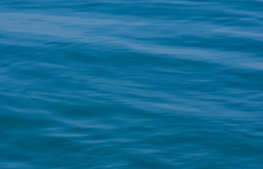 beach, sea, sand, water, ocean, sky, summer, nature, landscape, coast, fence, wooden, travel, wood, shore, pier, breakwater, holiday, vacation, path, day, bridge, horizon, sun