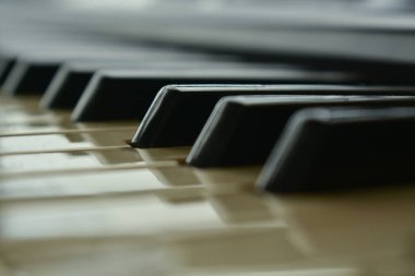 Piyano ve klavye müzik enstrümanlarıdır.