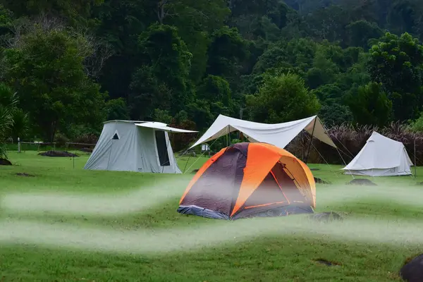 Namioty Rozstawić Namiot Dzikiej Przyrody — Zdjęcie stockowe