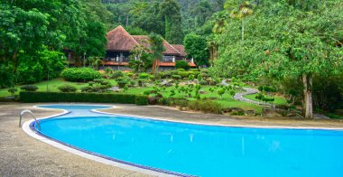 Doğanın ve ormanın ortasında yüzme havuzu