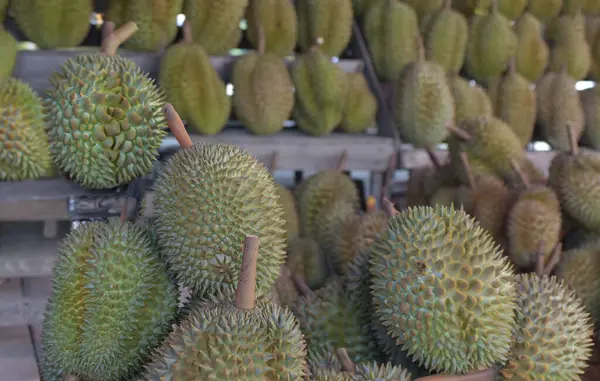 Durian popüler ve pahalı bir meyvedir..