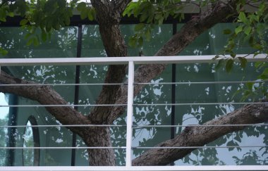 Kahve dükkanındaki masa ve sandalyeler müşterilerin oturması için.