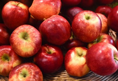 Elmalar. Birçok elma bir tepsiye konur..