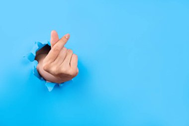 Parlak mavi kağıt arka plandaki yırtık deliklerde Korelilerin küçük kalp jimnastiğini gösteren insan elleri. Yaratıcı sanat, kopyalama alanı.