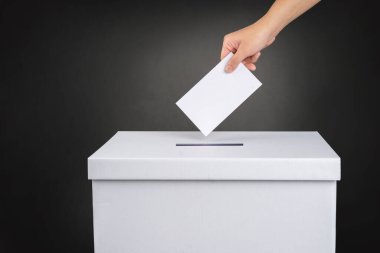 Seçmen oy pusulasını tutuyor ve oy sandığına koyuyor. Seçim kavramı.