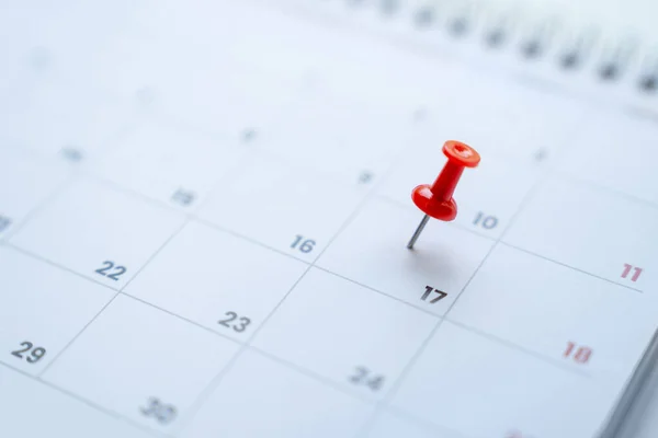 Pianificazione Incontro Affari Pin Rosso Giorno Del Calendario — Foto Stock