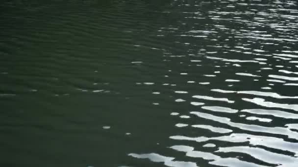 Деталі Мінімальних Абстрактних Відображень Поверхні Води Річці Природі — стокове відео