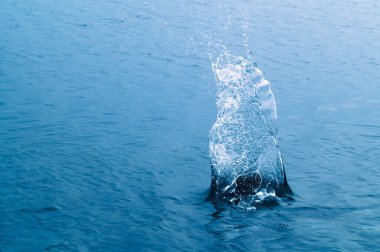 Impact splash on water surface after stone throwing.
