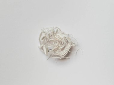 Kesik kağıt şeritlerinin ayrıntıları. Beyaz arka planda hayat devam ediyor.