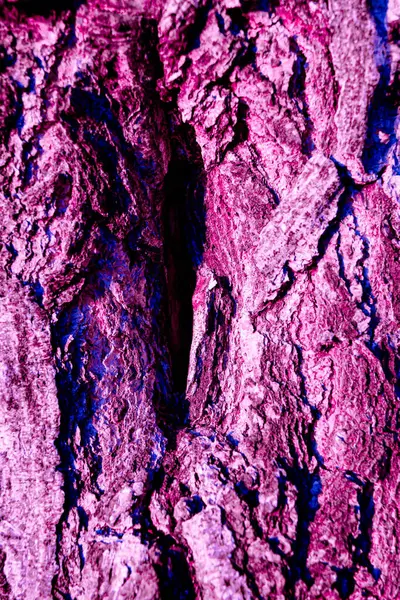 Metin için alanı olan soyut arkaplan