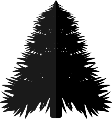 Noel ağacı simgesi, şeffaf arkaplanda Xmas sembolü. PNG illüstrasyonu