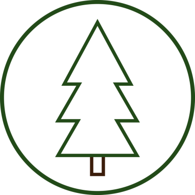 Noel ağacı simgesi, şeffaf arkaplanda izole edilmiş Xmas köknar sembolü. PNG illüstrasyonu