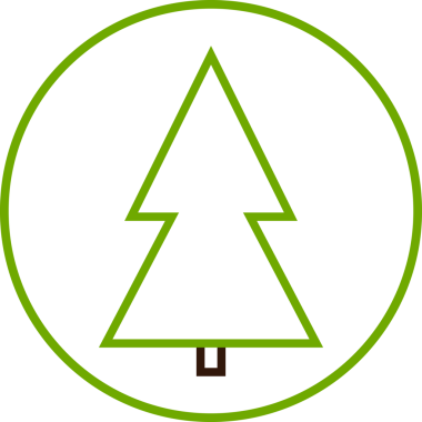 Noel ağacı simgesi, şeffaf arkaplanda izole edilmiş Xmas köknar sembolü. PNG illüstrasyonu