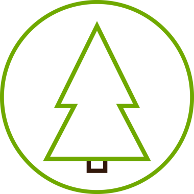 Noel ağacı simgesi, şeffaf arkaplanda izole edilmiş Xmas köknar sembolü. PNG illüstrasyonu