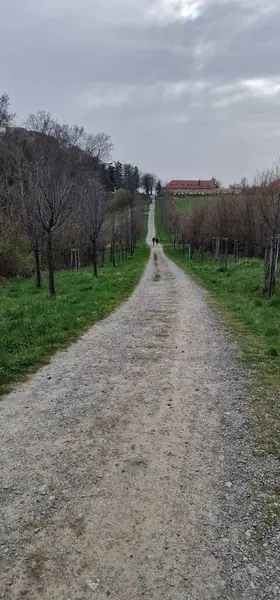 Buchlov Kalesi 'nin yolu Moravia czech repiblic