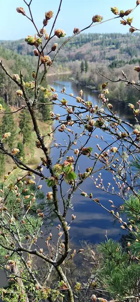 Baba, Vltava Nehri 'nin sol kıyısında Hlubok nad Vltavou' nun yaklaşık iki kilometre kuzeyinde yer alan doğal bir anıttır. Baba bakış açısı Budjovick 'te çok popüler bir yer haline geldi.