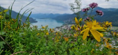 Wolfgangseeblick Lake Wolfgang 'ın İngilizce görüntüsü, Avusturya' nın Salzkammergut bölgesinde yer alan Wolfgangsee 'nin nefes kesici panoramik manzarasına atıfta bulunuyordu..