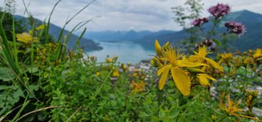 Wolfgangseeblick view of Lake Wolfgang in English, referring to the breathtaking panoramic vistas of Wolfgangsee, a lake located in the Salzkammergut region of Austria. clipart