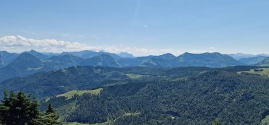 Zwlferhorn, Avusturya 'nın Salzkammergut bölgesinde Wolfgang Gölü (Wolfgangsee) yakınlarında bulunan bir dağdır. Yürüyüş, kayak ve yamaç paraşütü gibi doğa aktiviteleri için popüler bir yerdir..