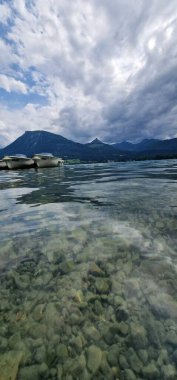 Wolfgangsee gölünde sığ sularda balık 