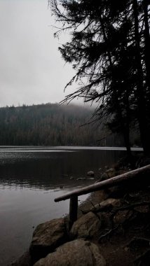 Erin Gölü ve Ertovo Gölü Çek Cumhuriyeti 'nin umava dağlarındaki turba dolu göllerdir. Her ikisi de el değmemiş su ve eşsiz ekosistemlerle korunan ormanlarda yer alıyor. Erin Gölü karanlık ve yansıtıcı sularıyla bilinir.