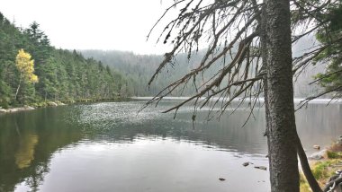 Erin Gölü ve Ertovo Gölü Çek Cumhuriyeti 'nin umava dağlarındaki turba dolu göllerdir. Her ikisi de el değmemiş su ve eşsiz ekosistemlerle korunan ormanlarda yer alıyor. Erin Gölü karanlık ve yansıtıcı sularıyla bilinir.