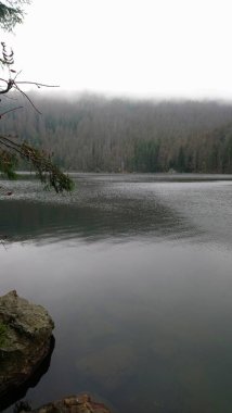 Erin Gölü ve Ertovo Gölü Çek Cumhuriyeti 'nin umava dağlarındaki turba dolu göllerdir. Her ikisi de el değmemiş su ve eşsiz ekosistemlerle korunan ormanlarda yer alıyor. Erin Gölü karanlık ve yansıtıcı sularıyla bilinir.