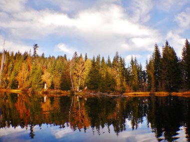 Laka Gölü, Çek Cumhuriyeti 'nin Umava Dağları' nda bulunan küçük bir turba gölüdür. Yoğun orman ve bataklıklarla çevrili olan bölge, koruma altındaki ulusal parkın bir parçasıdır. Göl berrak, asitli suyu, eşsiz Peatland ekosistemi ve mevsimi ile bilinir.