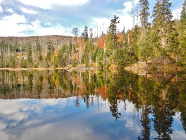 Bir laka gölünün sonbahar manzarası 