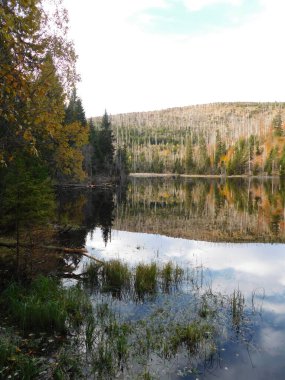 Yüzeyde yüzen adaları olan Laka Gölü Sumava 'daki en küçük, en sığ ve en yüksek buzul gölüdür.