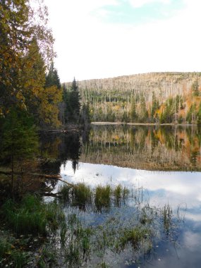 Yüzeyde yüzen adaları olan Laka Gölü Sumava 'daki en küçük, en sığ ve en yüksek buzul gölüdür.