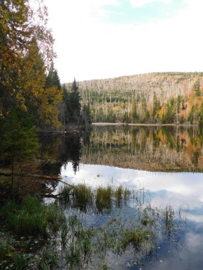 Yüzeyde yüzen adaları olan Laka Gölü Sumava 'daki en küçük, en sığ ve en yüksek buzul gölüdür.