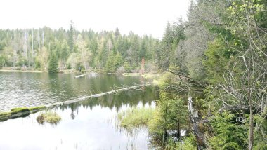 Yüzeyde yüzen adaları olan Laka Gölü umava 'daki en küçük, en sığ ve en yüksek buzul gölüdür.