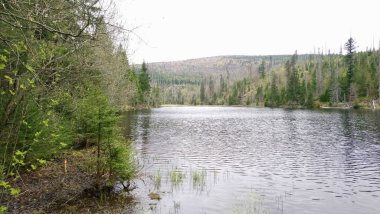 Yüzeyde yüzen adaları olan Laka Gölü umava 'daki en küçük, en sığ ve en yüksek buzul gölüdür.