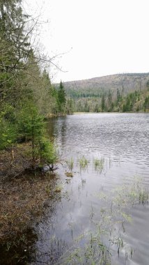 Yüzeyde yüzen adaları olan Laka Gölü umava 'daki en küçük, en sığ ve en yüksek buzul gölüdür.
