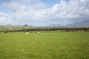 Fırtına Dunquin ve Dingle Yarımadası İrlanda