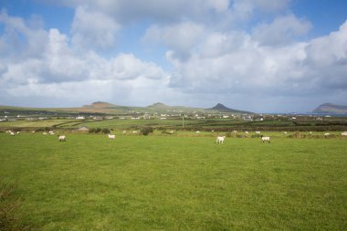 Fırtına Dunquin ve Dingle Yarımadası İrlanda