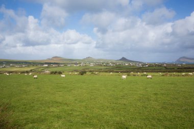 Fırtına Dunquin ve Dingle Yarımadası İrlanda