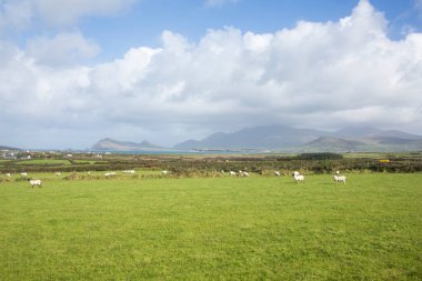 Fırtına Dunquin ve Dingle Yarımadası İrlanda