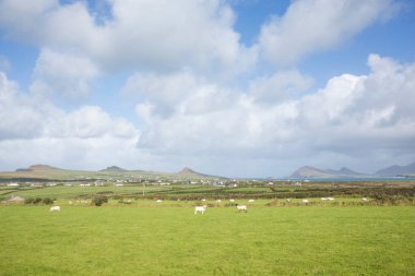 Fırtına Dunquin ve Dingle Yarımadası İrlanda
