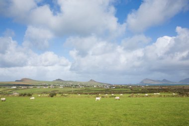 Fırtına Dunquin ve Dingle Yarımadası İrlanda