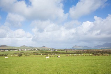 Fırtına Dunquin ve Dingle Yarımadası İrlanda