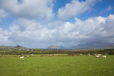 Fırtına Dunquin ve Dingle Yarımadası İrlanda