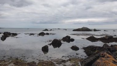 Vahşi İrlanda Sahil Hattı Sakin Gelgitler ve Kıyı Vahşi İrlanda