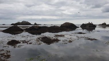 Vahşi İrlanda Sahil Hattı Sakin Gelgitler ve Kıyı Vahşi İrlanda