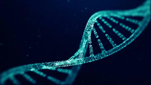Parçacıklardan bir DNA molekülünün soyut yapısı. Dijital DNA kavramı. Parıltılı DNA kod yapısı. Tıbbi araştırma, genetik mühendislik, biyoloji. 