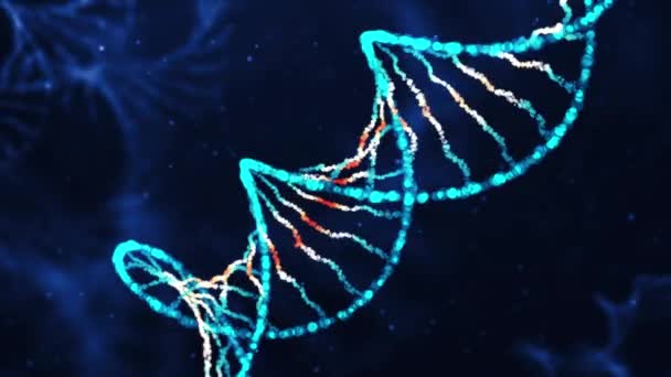从颗粒中提取Dna分子的动画结构 数字Dna的概念动画 具有辉光的Dna密码结构 医学研究 基因工程 生物学 未来主义4K动画 — 图库视频影像